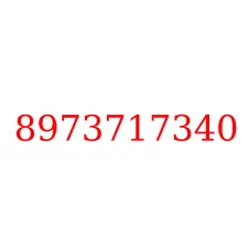 8973717340