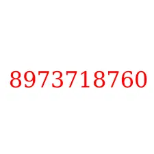 8973718760