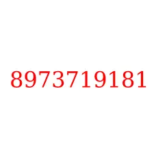 8973719181