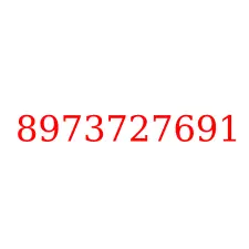 8973727691