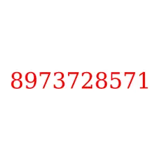 8973728571