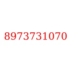 8973731070