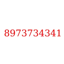 8973734341