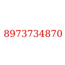 8973734870