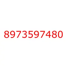 8973597480