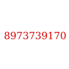 8973739170