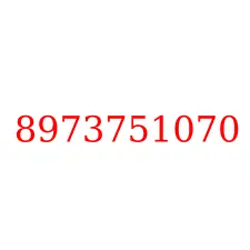 8973751070