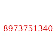 8973751340