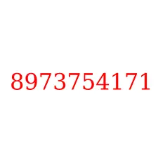 8973754171