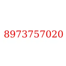8973757020