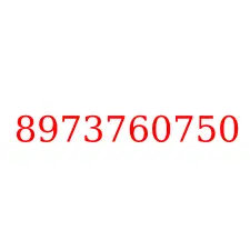 8973760750