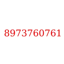 8973760761
