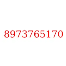 8973765170
