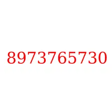 8973765730