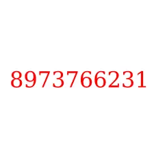 8973766231