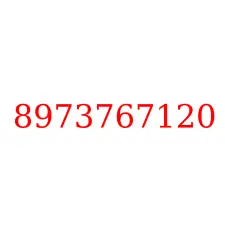 8973767120