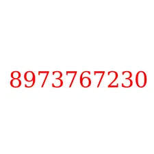 8973767230