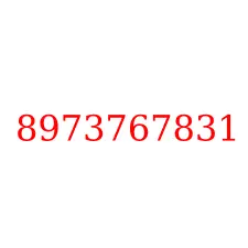 8973767831