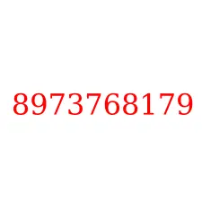 8973768179