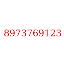 8973769123