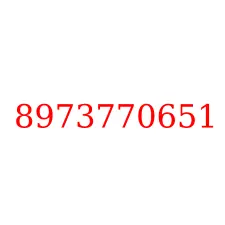 8973770651