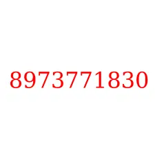 8973771830
