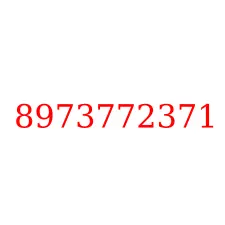 8973772371