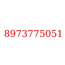8973775051