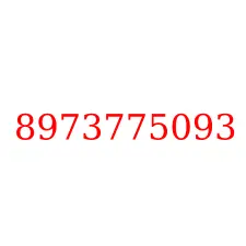 8973775093
