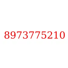 8973775210