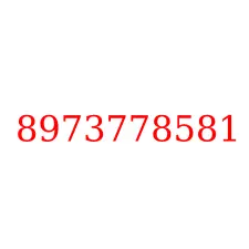 8973778581