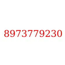 8973779230