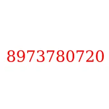 8973780720