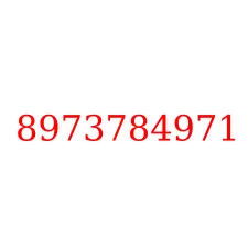 8973784971