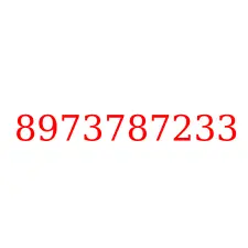 8973787233