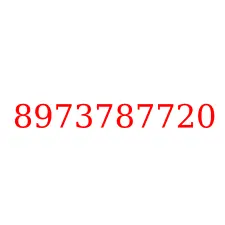 8973787720