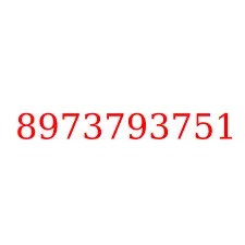 8973793751