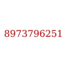 8973796251