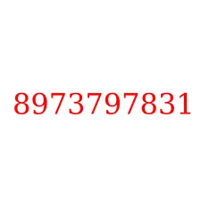 8973797831