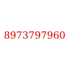 8973797960