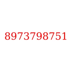 8973798751