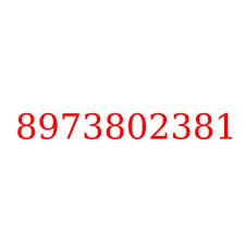 8973802381