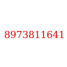 8973811641