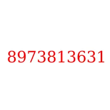 8973813631