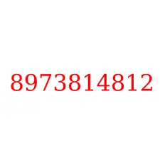 8973814812