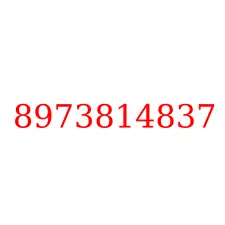 8973814837
