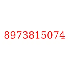 8973815074