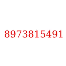 8973815491