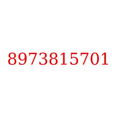 8973815701