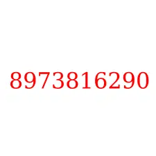 8973816290